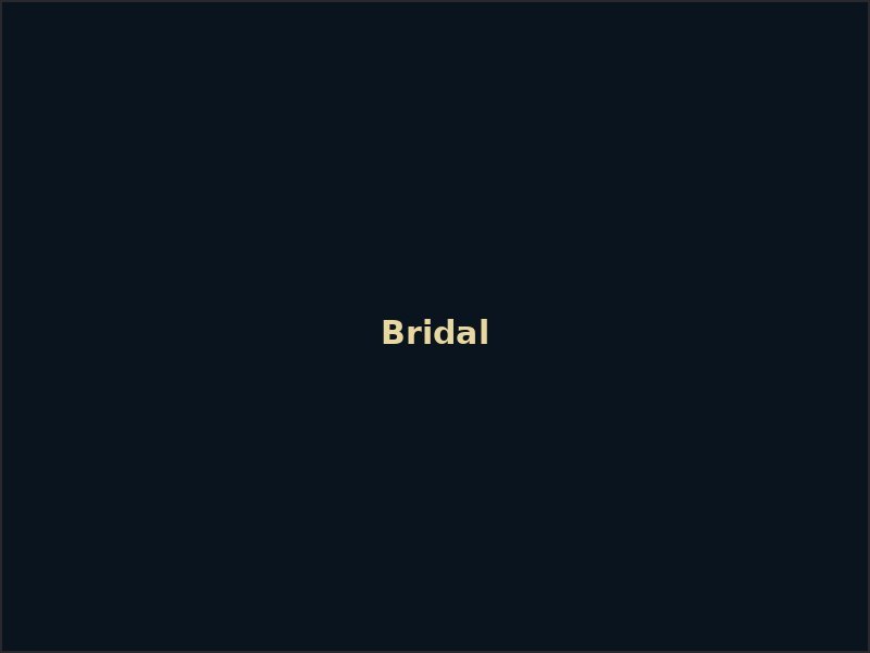 Bridal makeup by New Elegant